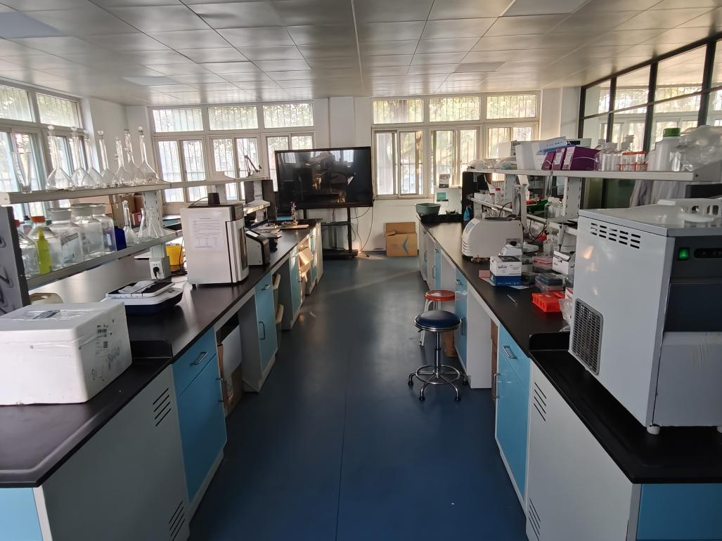 /crm/product/image/20260114/1768372021037055608.png /crm/product/image/20260114/1768372021037055608.png